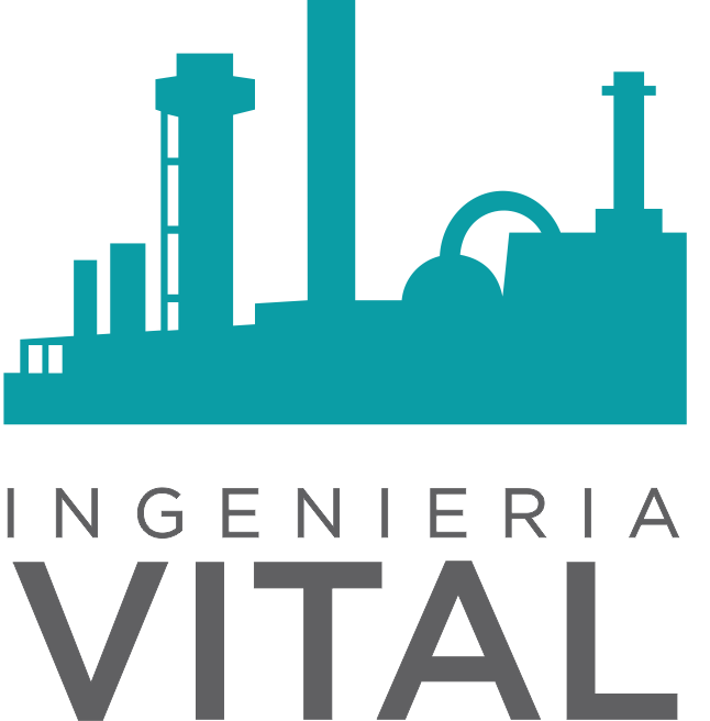Ing. Vital